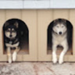 Meet your Posher, Ben